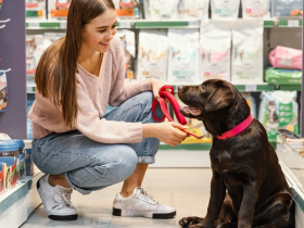 Vind et gavekort til Maxi Zoo